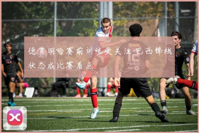 德贾明哈赛前训练受关注 巴西锋线状态成比赛看点